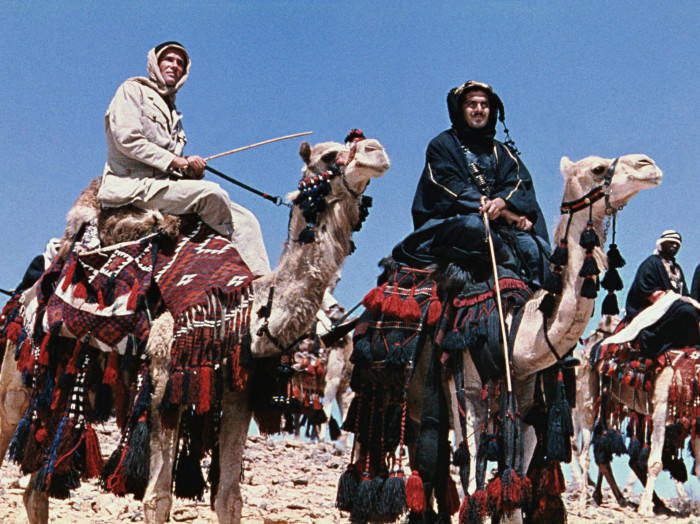 With good friend Peter Oâ€™Toole in Lawrence of Arabia (1962) that Sharif later said modestly was just shots of men riding camels